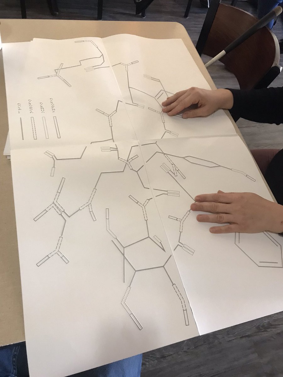djavko's tweet photo. I want to share an inspiring teaching experience I had this semester. I had a privilege to teach biochemistry to Emily @PharmFatale who can’t see the structures like you and I can. At first I was skeptical cause I thought that chemistry is highly visual. https://t.co/qjDQhR6rUO