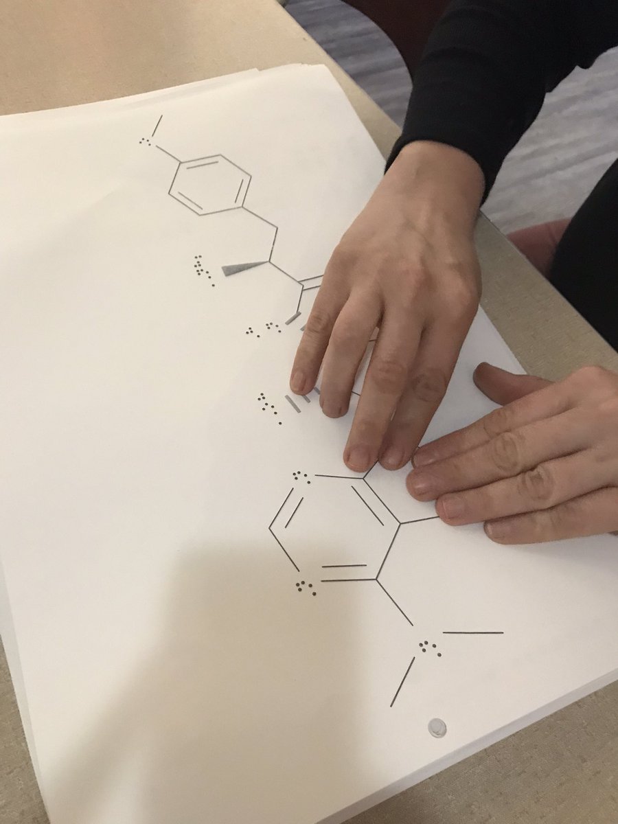 Zarko Boskovic (@djavko) on Twitter photo I want to share an inspiring teaching experience I had this semester. I had a privilege to teach biochemistry to Emily <a href="/PharmFatale/">PharmFatale</a> who can’t see the structures like you and I can. At first I was skeptical cause I thought that chemistry is highly visual. I want to share an inspiring teaching experience I had this semester. I had a privilege to teach biochemistry to Emily <a href="/PharmFatale/">PharmFatale</a> who can’t see the structures like you and I can. At first I was skeptical cause I thought that chemistry is highly visual.