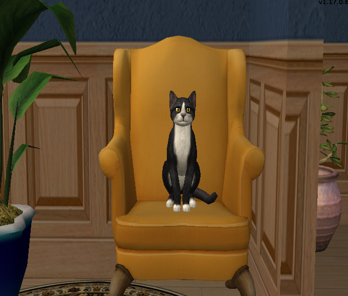 KaylynnLangera2's tweet photo. I have absolutely fallen in love with playing Natasha Una. She makes her living selling her paintings &amp; pottery, and has started studying witchcraft. She adopted a stray cat, Moonshine, married her husband Thalion Miklos, and welcomed her first baby, Sabyne. https://t.co/A4TLnwVyhX