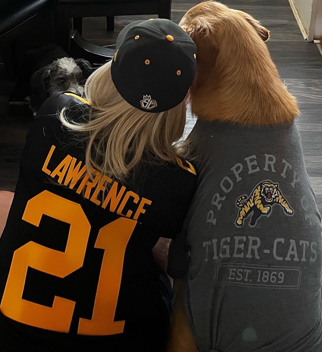 Michelle Pollington tweet media