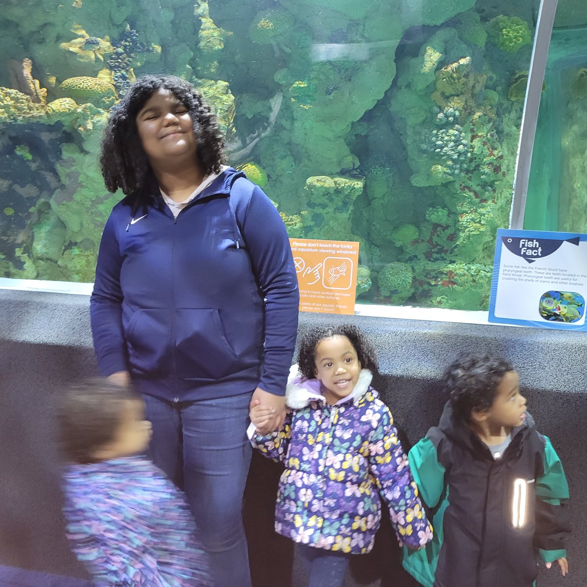 SarahMonique83's tweet photo. Milwaukee aquarium... We Definitely gotta take the kids again. https://t.co/VYorsI967R