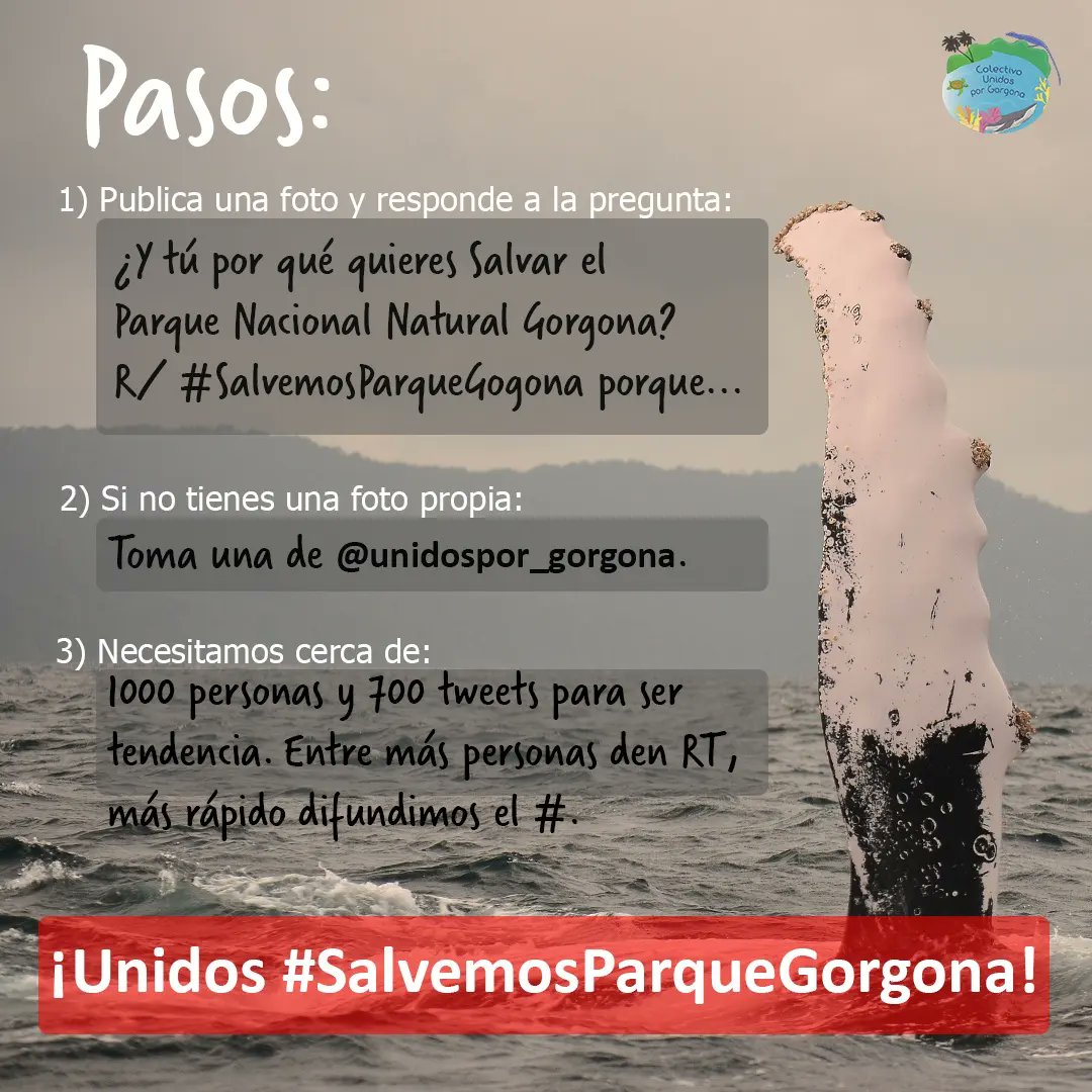 ¡No tenemos tiempo que perder!
¡Seamos tendencia! Este domingo 13 de noviembre (entre las 10 y 4 pm) los invitamos a usar el hashtag #SalvemosParqueGorgona . Les recomendamos usar también el hashtag #cop27   . ¡Usarlo nos visibiliza más! ¡Por favor compartir este post! RT .