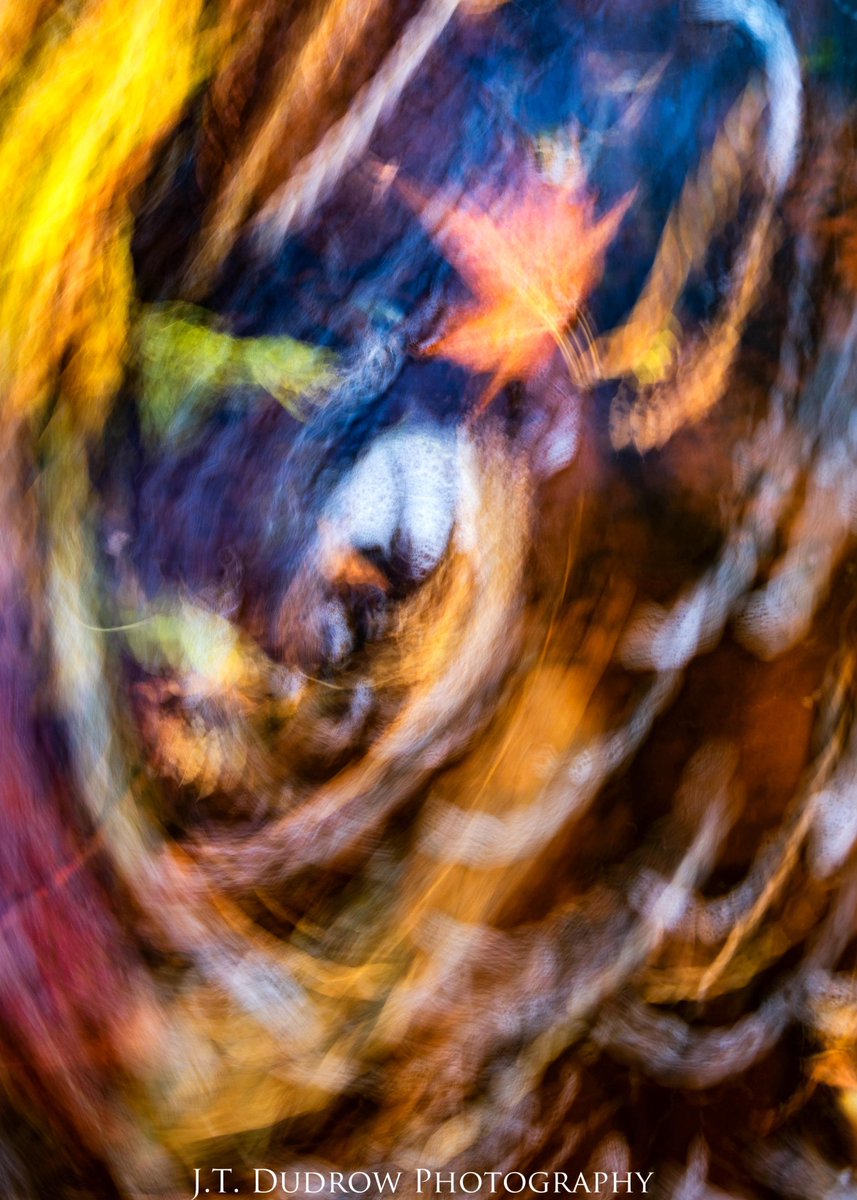 A few abstract images I put together during this year's beautiful Autumn season in Arizona canyon country. Thinking outside of the box and creating something unique is not only personally rewarding, it can lead to some stunning photos. #arizona #fallcolors #sedona #autumn