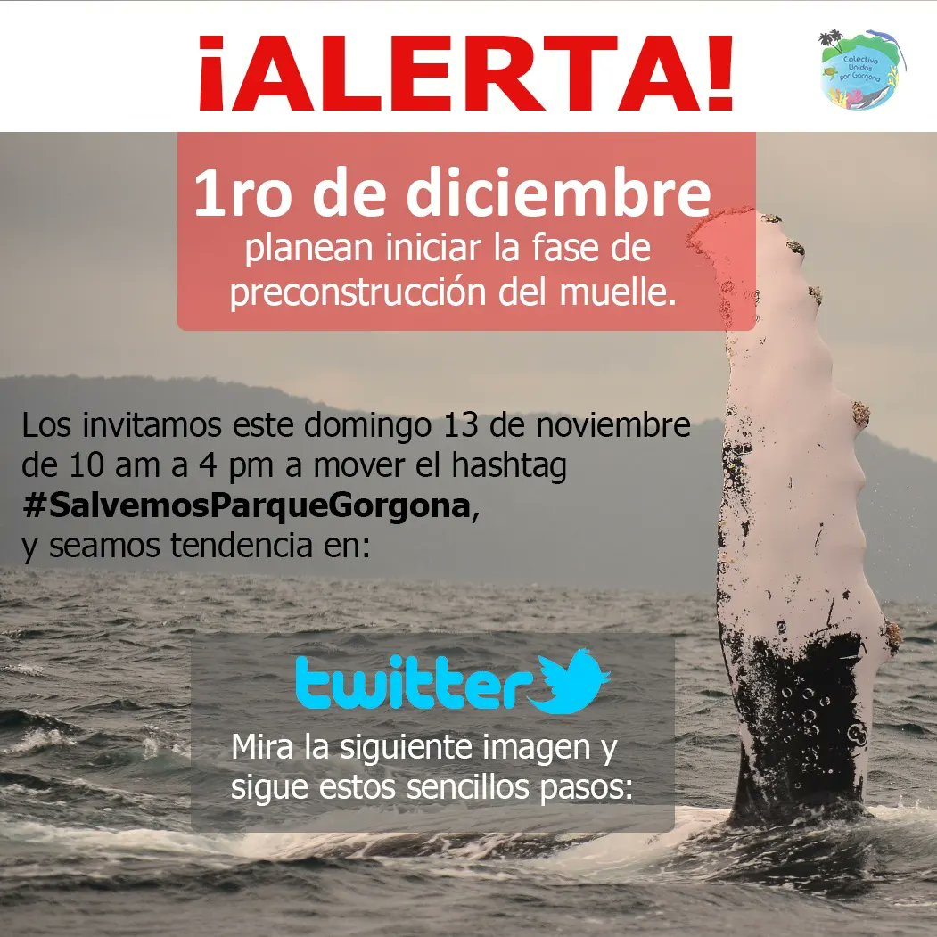 unidosgorgona's tweet photo. ¡No tenemos tiempo que perder!
¡Seamos tendencia! Este domingo 13 de noviembre (entre las 10 y 4 pm) los invitamos a usar el hashtag #SalvemosParqueGorgona . Les recomendamos usar también el hashtag #cop27 .¡Usarlo nos visibiliza más! ¡Por favor ayudanos con un Rt! https://t.co/iP6S7zt1xi