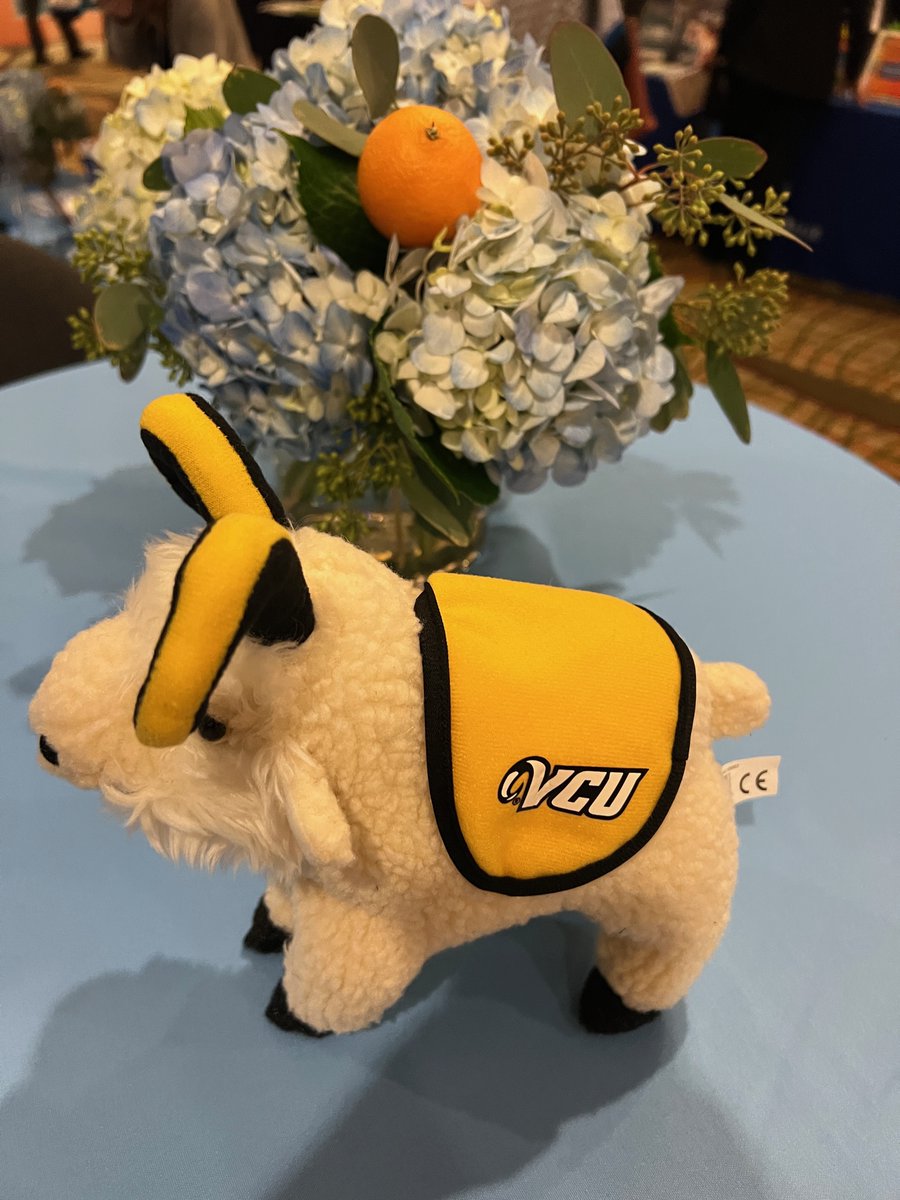 VCUSocialWork's tweet photo. #VCUSSW’s Rodney the Ram is making the rounds and making friends at @CSocialWorkEd #APM2022. Rodney visited this school, which boasts a mascot who could be Rodney’s cousin. Can you guess the school? Stay tuned for the reveal! #WhereIsRodney https://t.co/i5RlxW8mzA