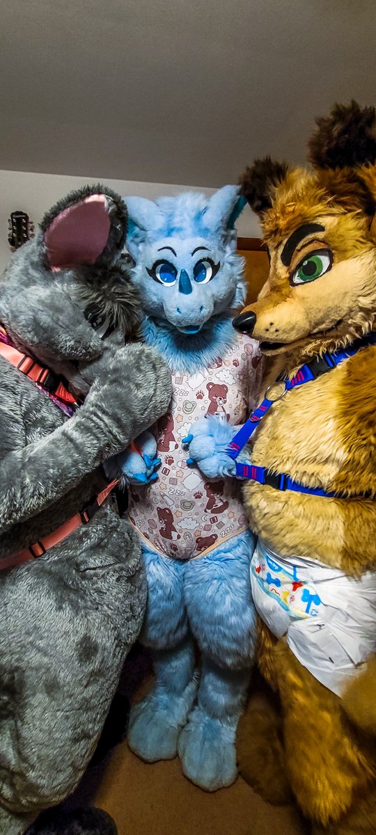 Finished two new harnesses. Testing them with <a href="/AdJuniper/">Juniper AD</a> and <a href="/snuggle_roo/">Little Roo</a> <3

📷<a href="/SHyenaPics/">SHyena</a> / <a href="/ShaneHyena/">Shane🏳️‍⚧️</a> as usual