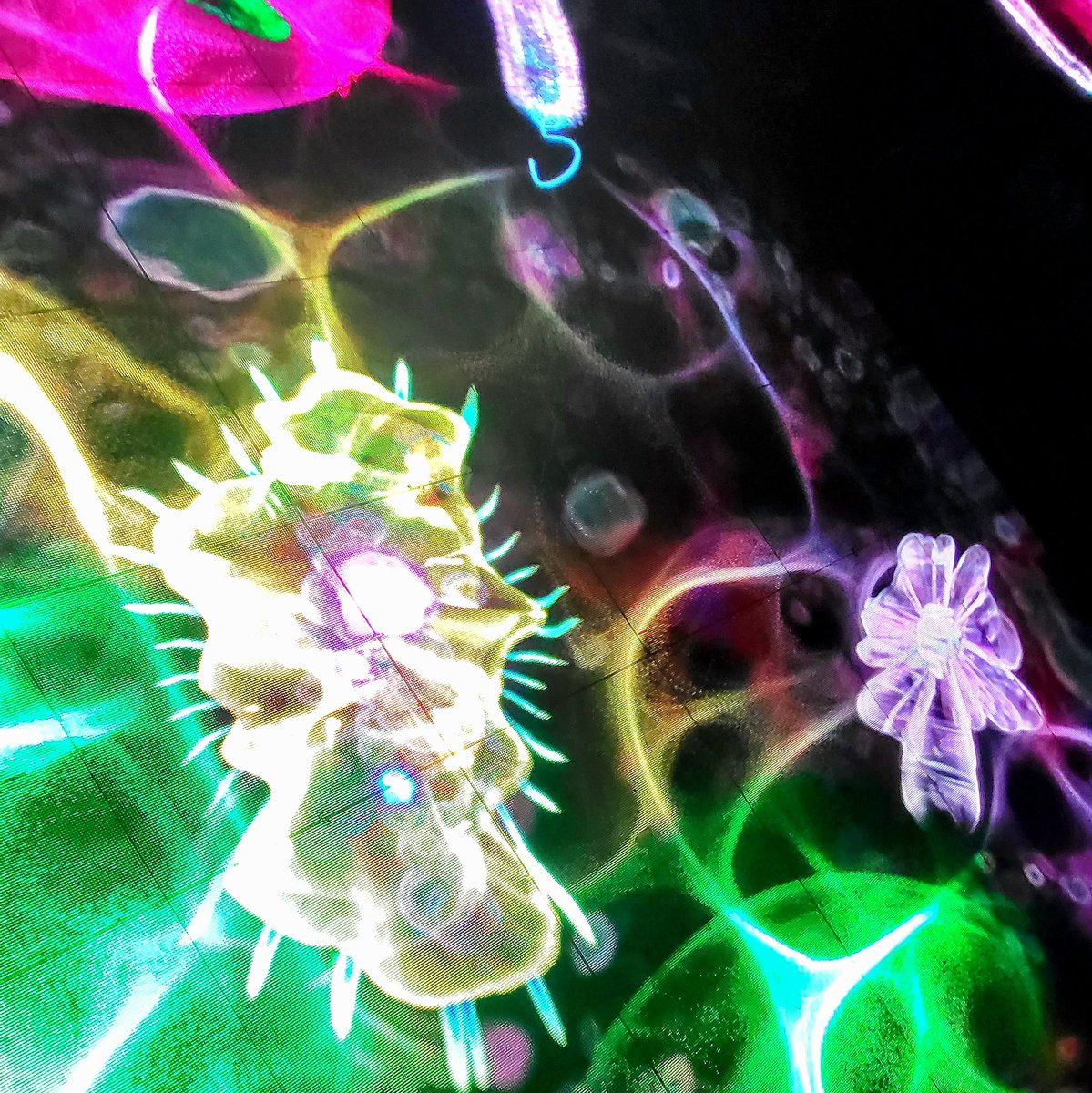 deepa_sena's tweet photo. A fun exhibit at #COP27 #GreenZone. A #Biosphere dome was dedicated to #microbes &amp; the whole floor was transformed into these weird &amp; wonderful microscopic organisms. Microbiologists would probably spot any inaccuracies but I didn't know any better! @UniRdg_Research @WalkerInst https://t.co/8YbOB2EIU3