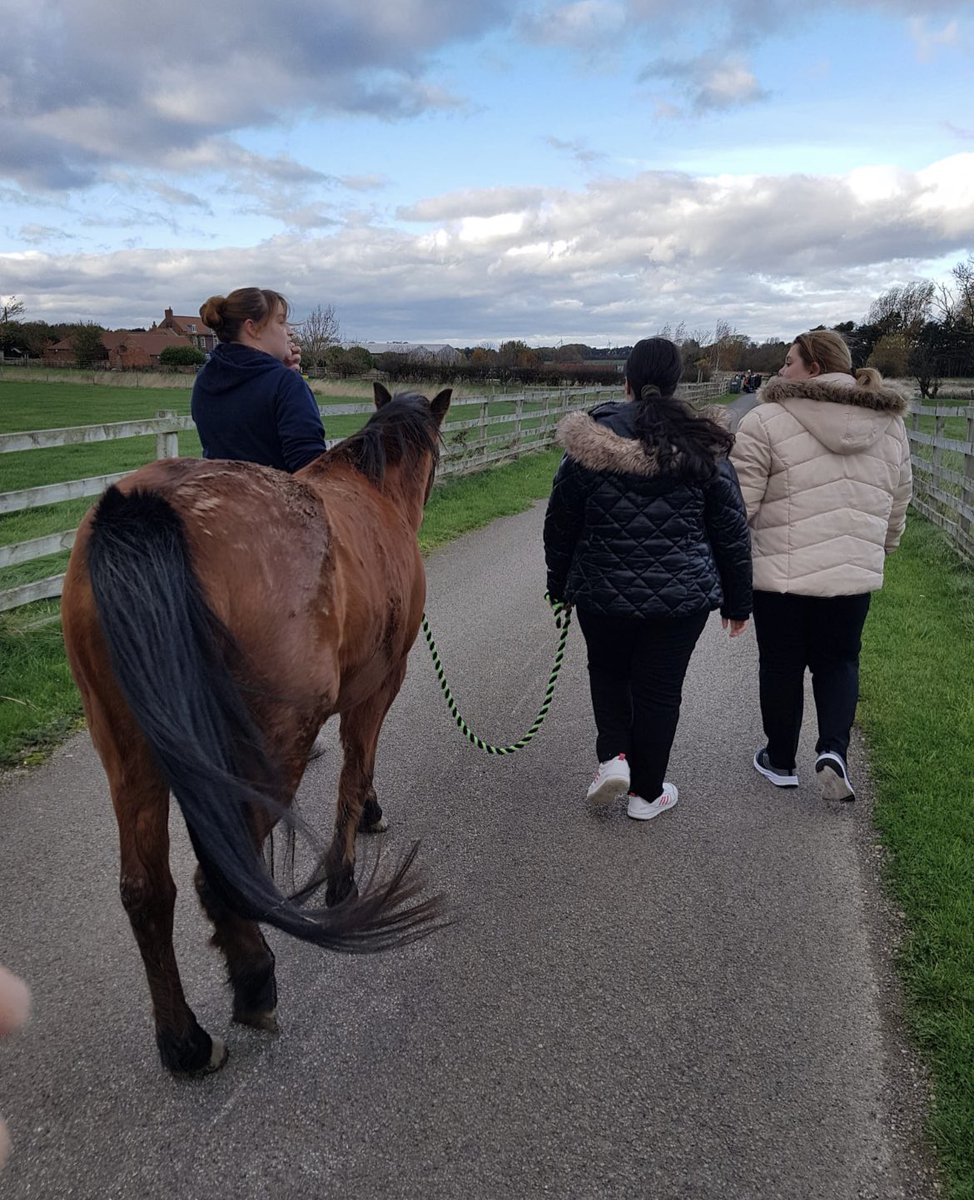 Today, some of our learners and staff ventured to JPC community farm with one of our Trustees. They had a wonderful day meeting new people and receiving a book written by one of the young people educated at the community farm.