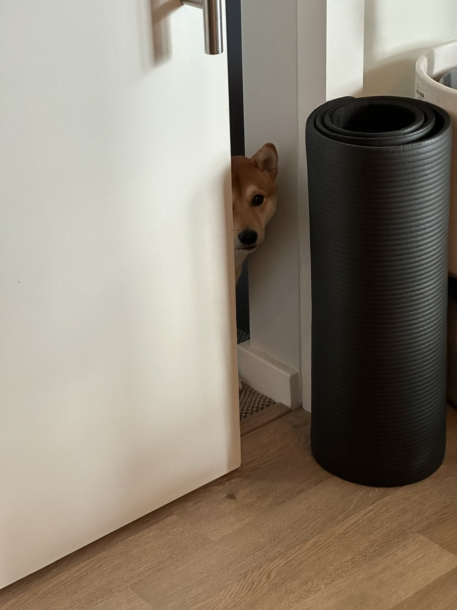 Where is my good boy?