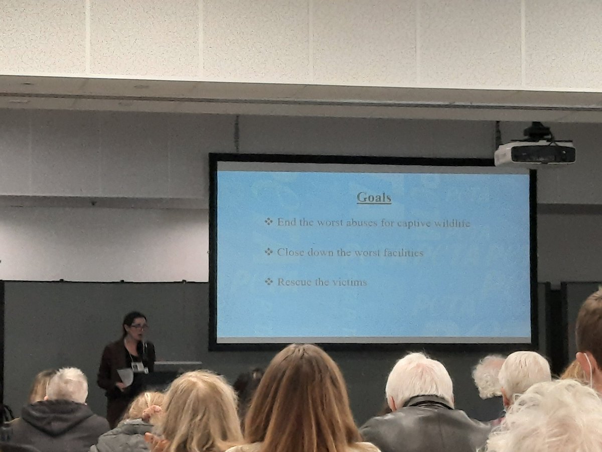rethinkcaptive's tweet photo. Brittany Peet, J.D. from @PETA speaking @PAWSARK2000 #PawsConference speaking about the legal work to end encounters, such as cub petting, "swimming w/ cubs" (i.e. throwing cubs in the poor to swim w/ ppl), and big cats (following breeding hybrid cats to skirt around ESA). https://t.co/HKTImahzow
