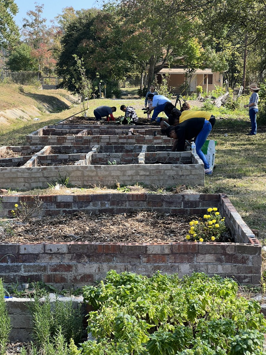 Students paid a dollar to wear pink every Friday in October. Today, they presented a gift of $500 to the Cancer Wellness Foundation.  Students planted veggies in a community garden in an Urban food desert. Giving Back!! Good things are happening at LeeHigh <a href="/leehighMPS/">Robert E. Lee High School</a> <a href="/MPSAL/">Montgomery Public Schools</a>