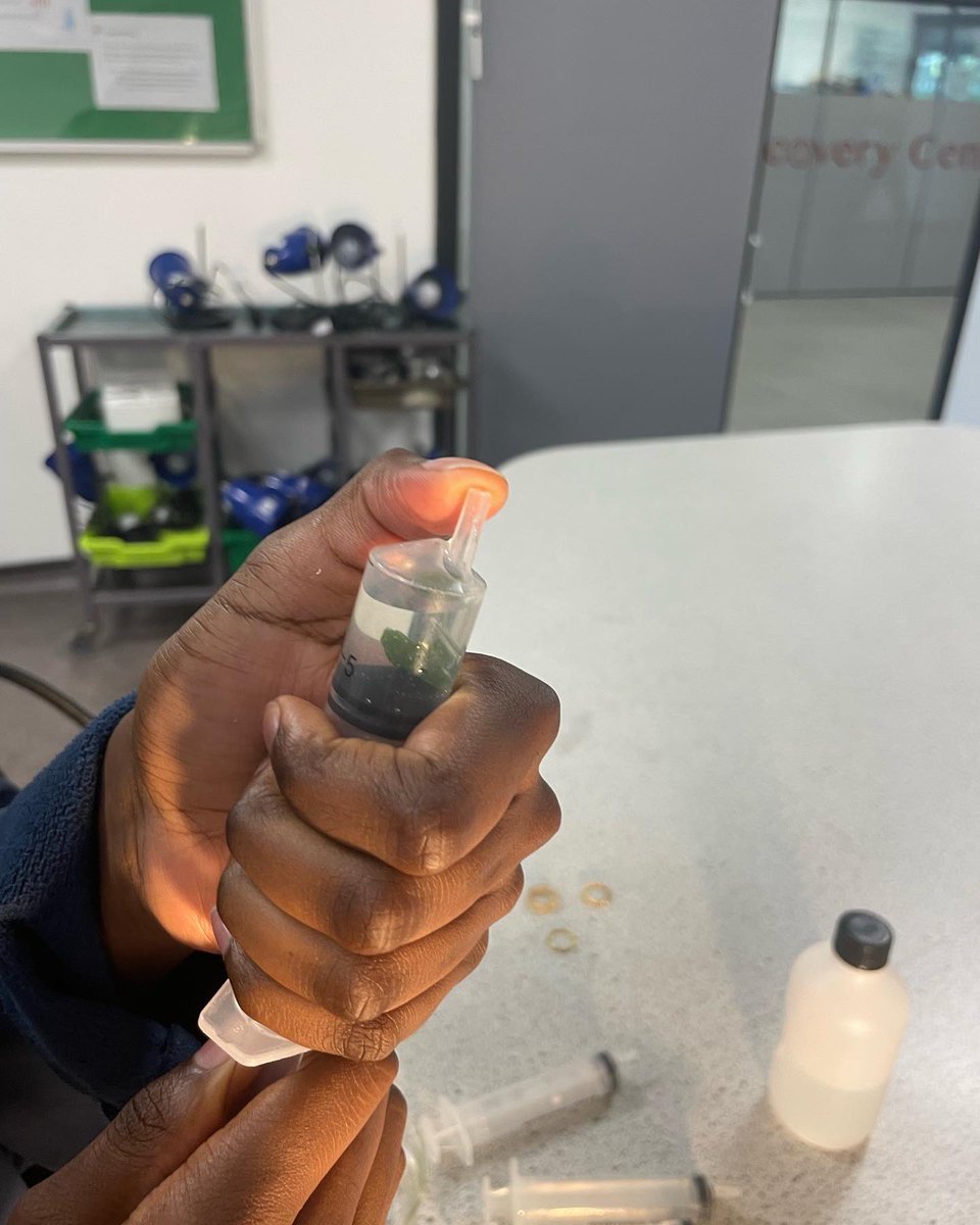 RLS Biology tweet media