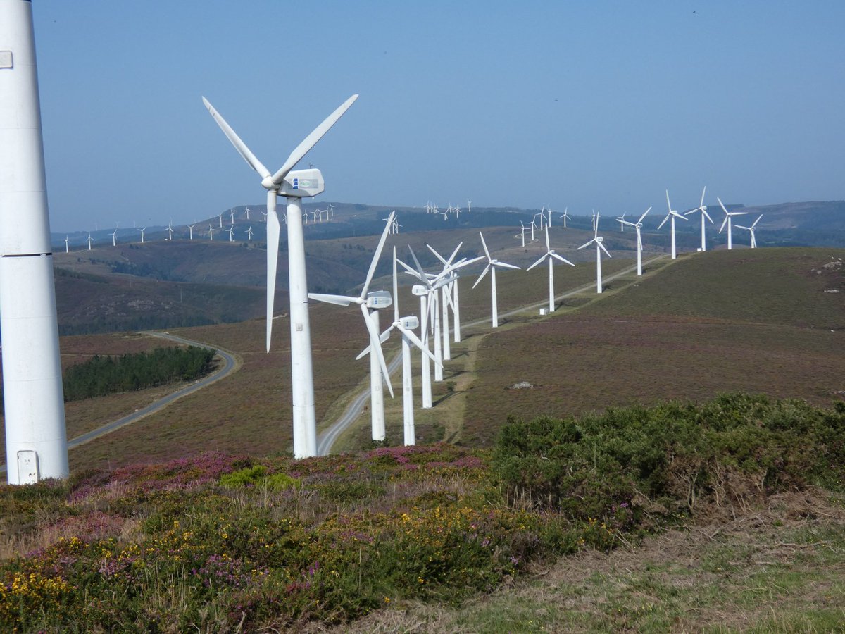 COMUNICADO POLÍTICO DE CAUSA GALIZA
Ante a resolución adoptada no Parlamento de Galiza sobre a axilización dos trámites administrativos de novos parques eólicos
causagaliza.org/novas.php?k=33…