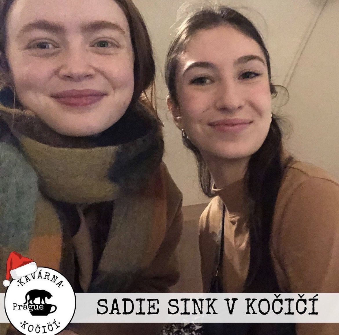 sadie thinker tweet media