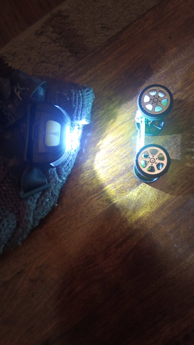 Kathleen Gallagher tweet media