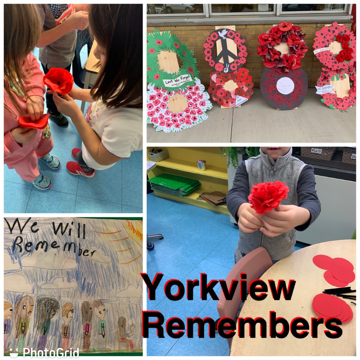 Proud of the learning happening at Yorkview. A special thank you to all lynx who co-led our Remembrance Day Assembly today. #LestWeForget