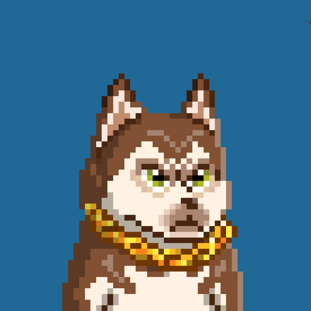 Say hi to Huskee.

#AptosNFTs #AptosLabs #NFTs #AptosFoundation