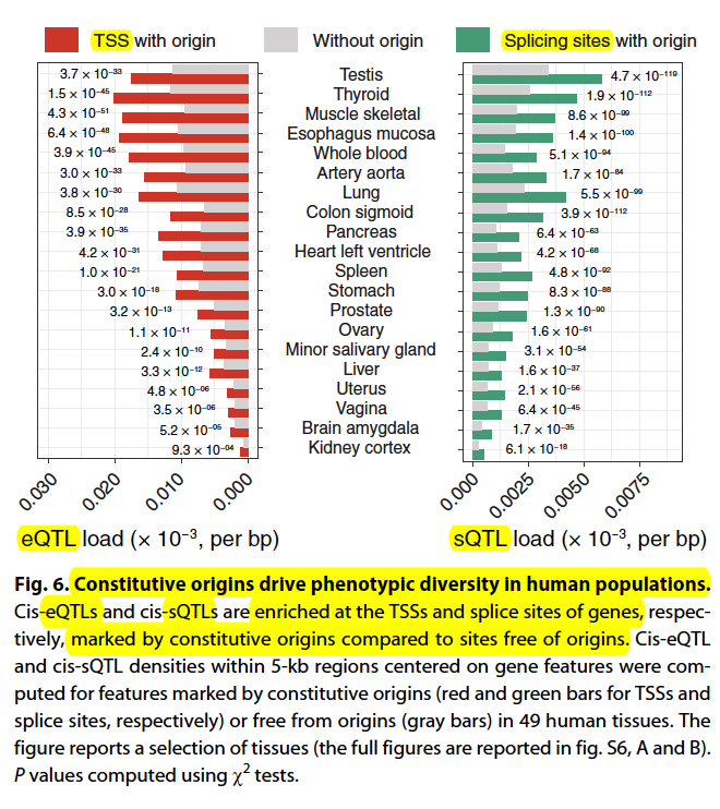 westr's tweet photo. #DNAreplication initiation shapes the mutational landscape and expression of the #humangenome https://t.co/ByzccKBrPp @ScienceAdvances #DNArepair #replicationorigins #mutationrate #phenotype
DNM- de novo #mutations https://t.co/TfahPGKDWT