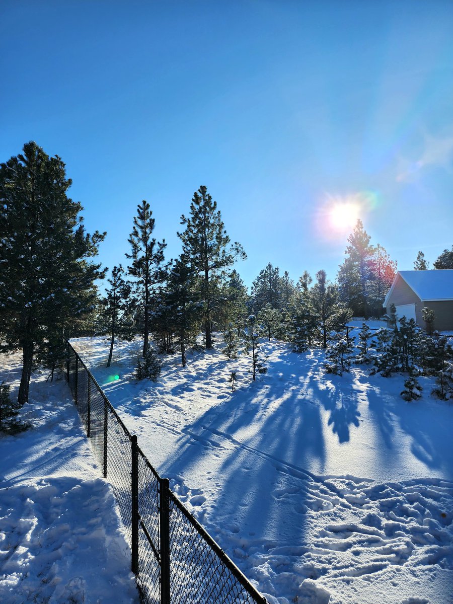 BeccaRocks7399's tweet photo. A stolen moment in the afternoon sun. This is my Montana.  #itscoldthough #mtwx https://t.co/hfptTDnDoW