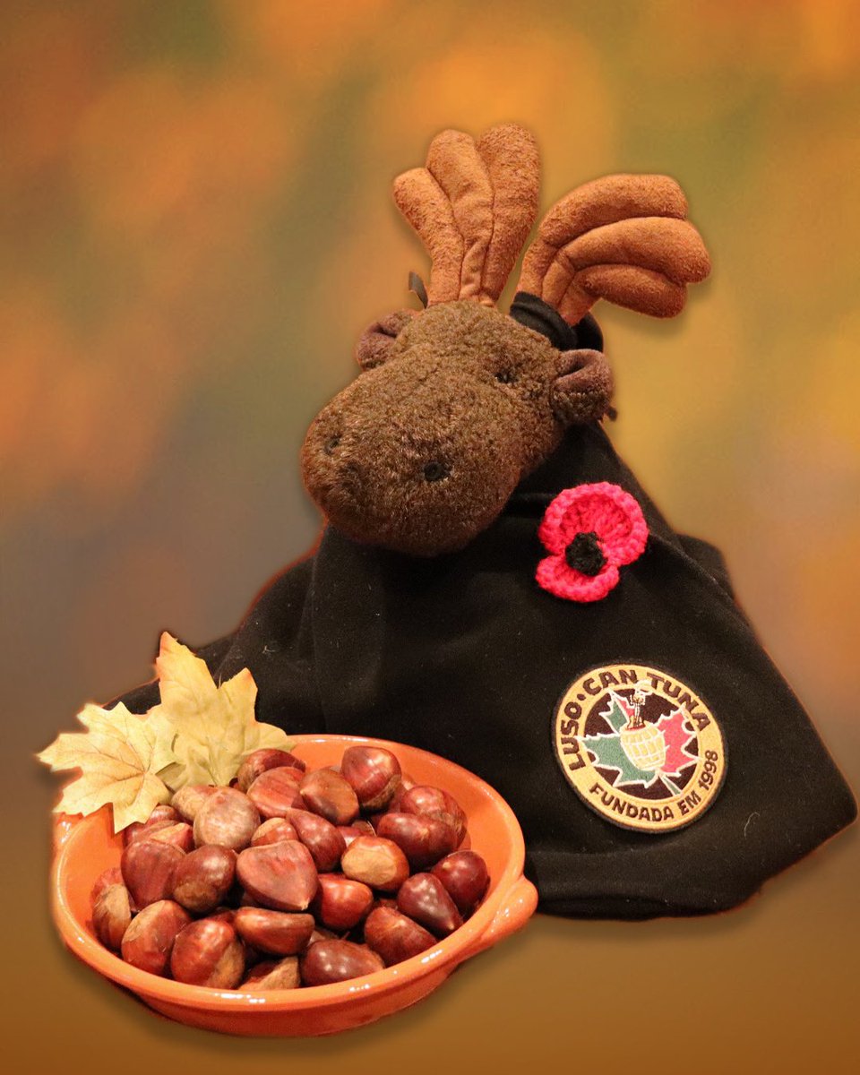 As a Portuguese group in Canada, our dual identities observe two significant events on this day. Today is Dia de São Martinho, as well as Remembrance Day, when we honour those who have fought for our freedom. #remembranceday #diadesãomartinho #lusocantuna #tuna #tunaislife