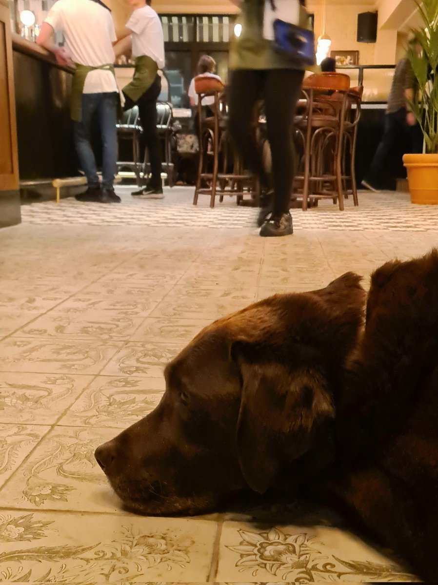 Top class kitchen team, a great addition to Bramhall and a very happy and chilled pup 👍