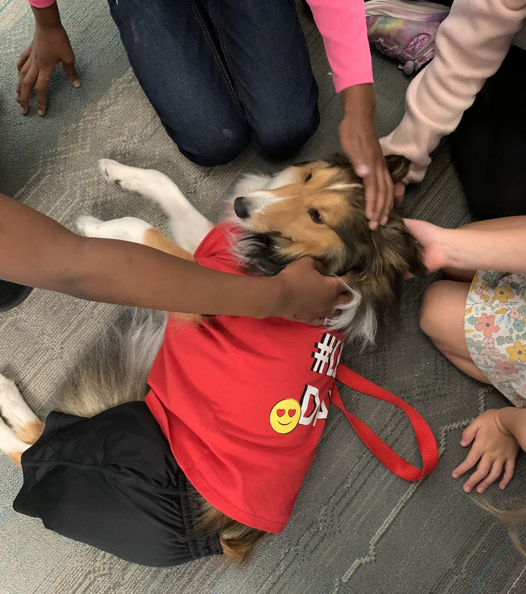 Angel Paws CFBC tweet media