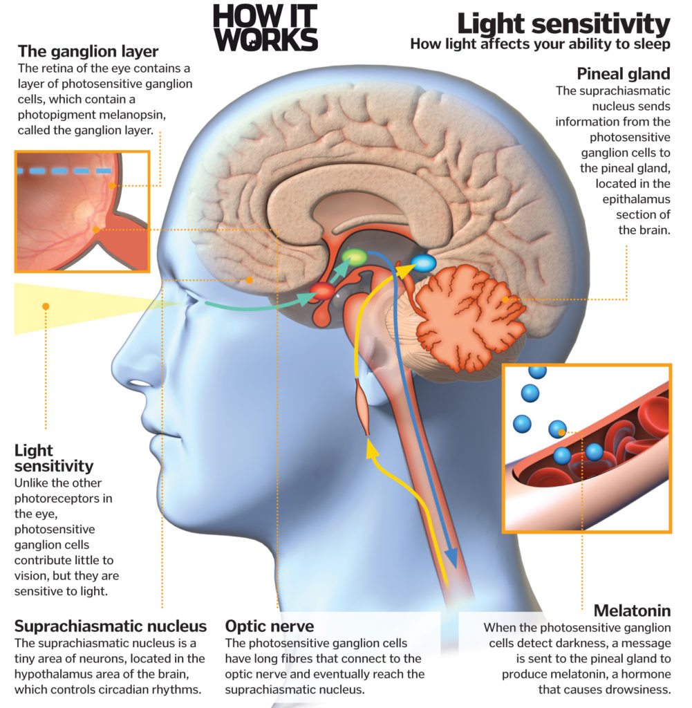 chrost_hugo's tweet image. Smartphone insomnia.

Source: @HowItWorksmag

#neuroscience #MedTwitter