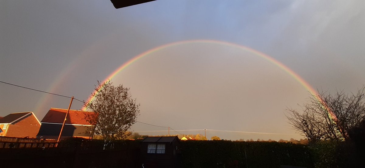 JayneFishman's tweet photo. @EDP24 Photo taken in my garden, in Ashill, earlier this week. https://t.co/vNph64tQrm