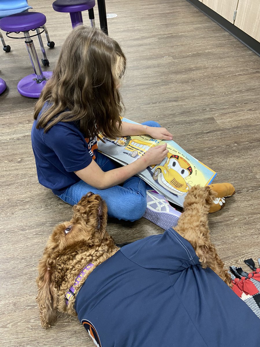 Angel Paws CFBC tweet media