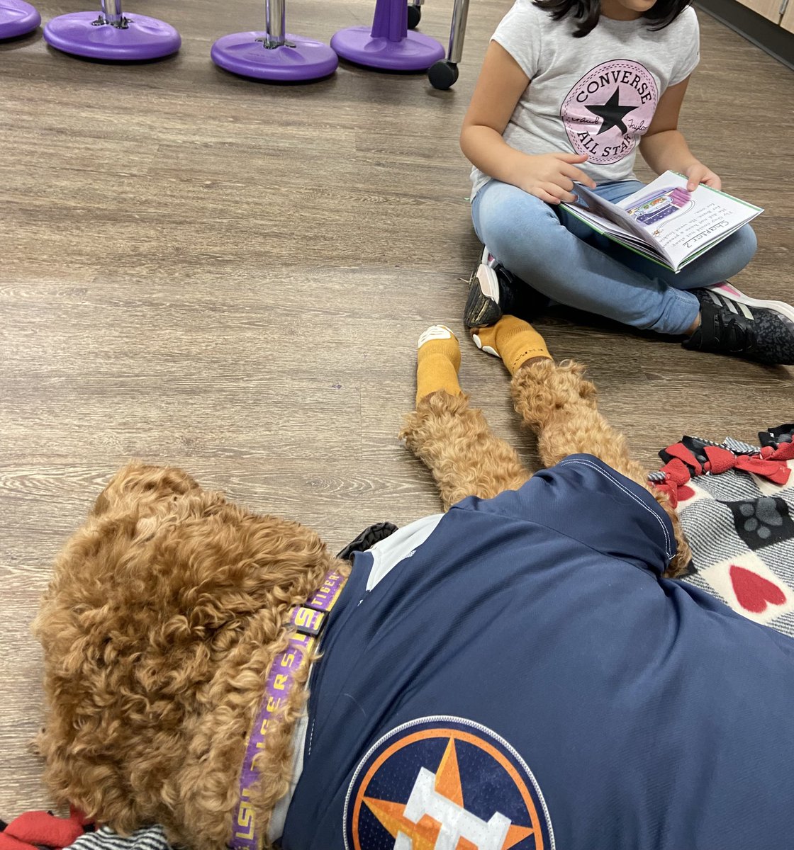 Angel Paws CFBC tweet media