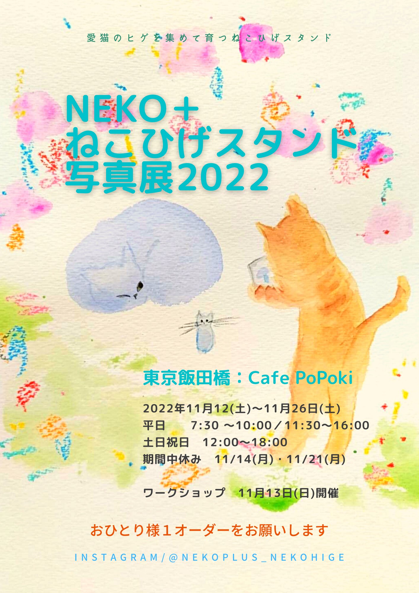 キャットシッターねこぷらす Nekoplus5656 Twitter