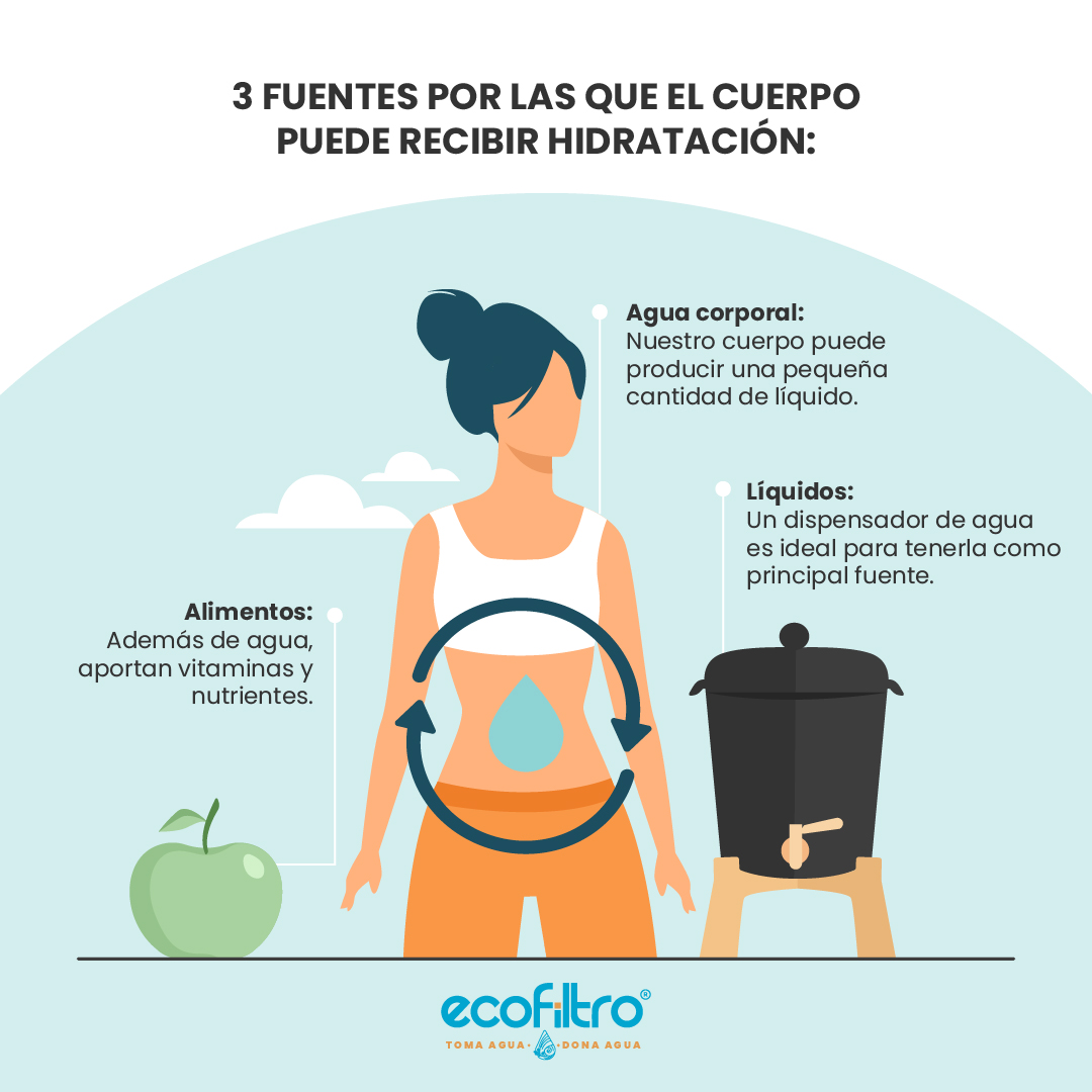 Ten #Ecofiltro en casa como fuente para obtener la #hidratación que tu cuerpo necesita.