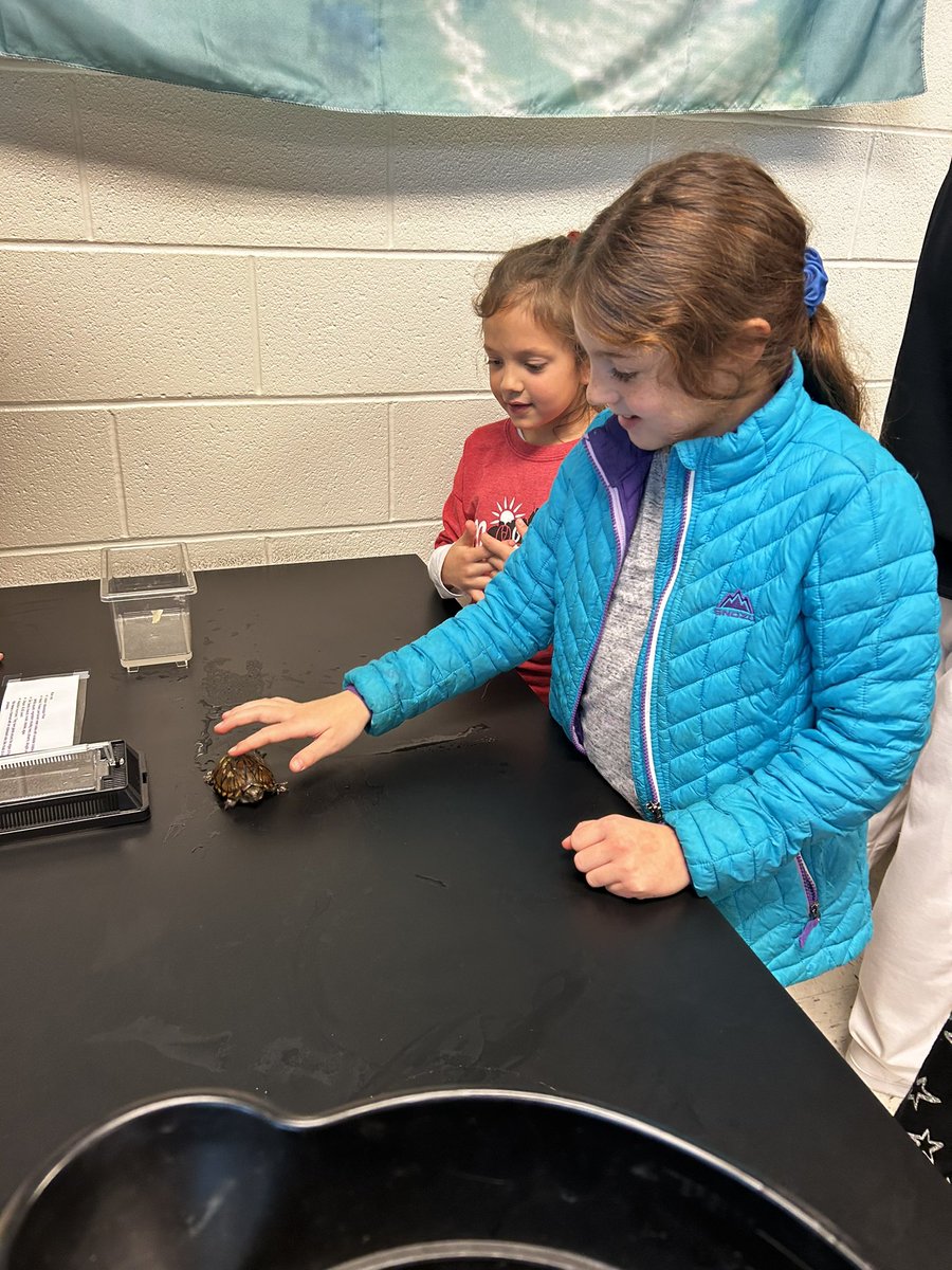 MissOravetz's tweet photo. Thank you @mrsgeist for having us today! We loved seeing and learning about the animals! @MuseCMSD #2ndgrade https://t.co/6Vo21hvaKk