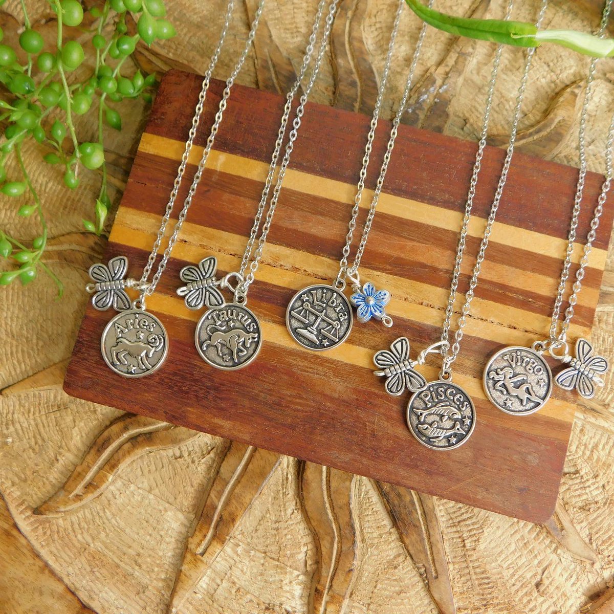 SOLMARVIDA tweet media