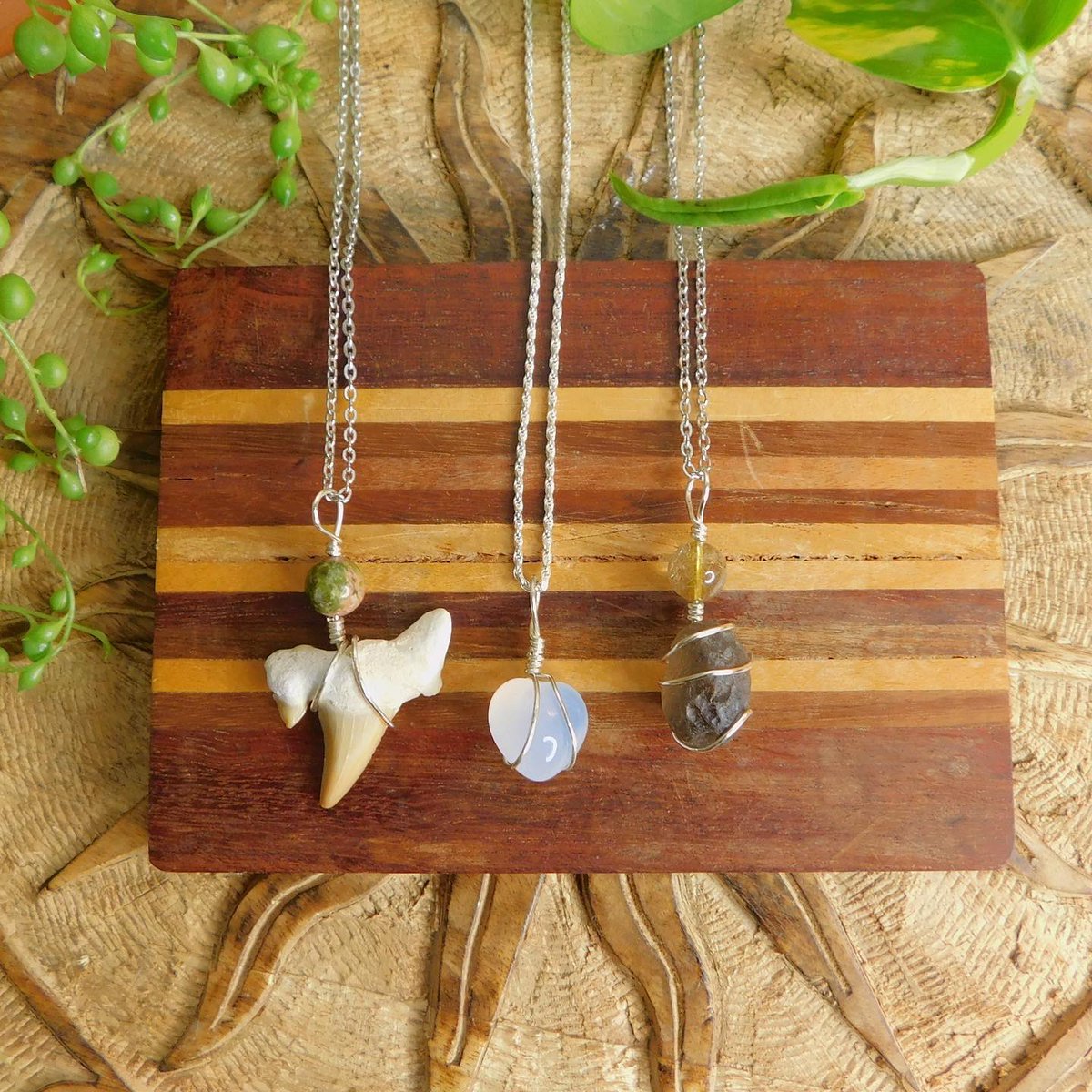 SOLMARVIDA tweet media