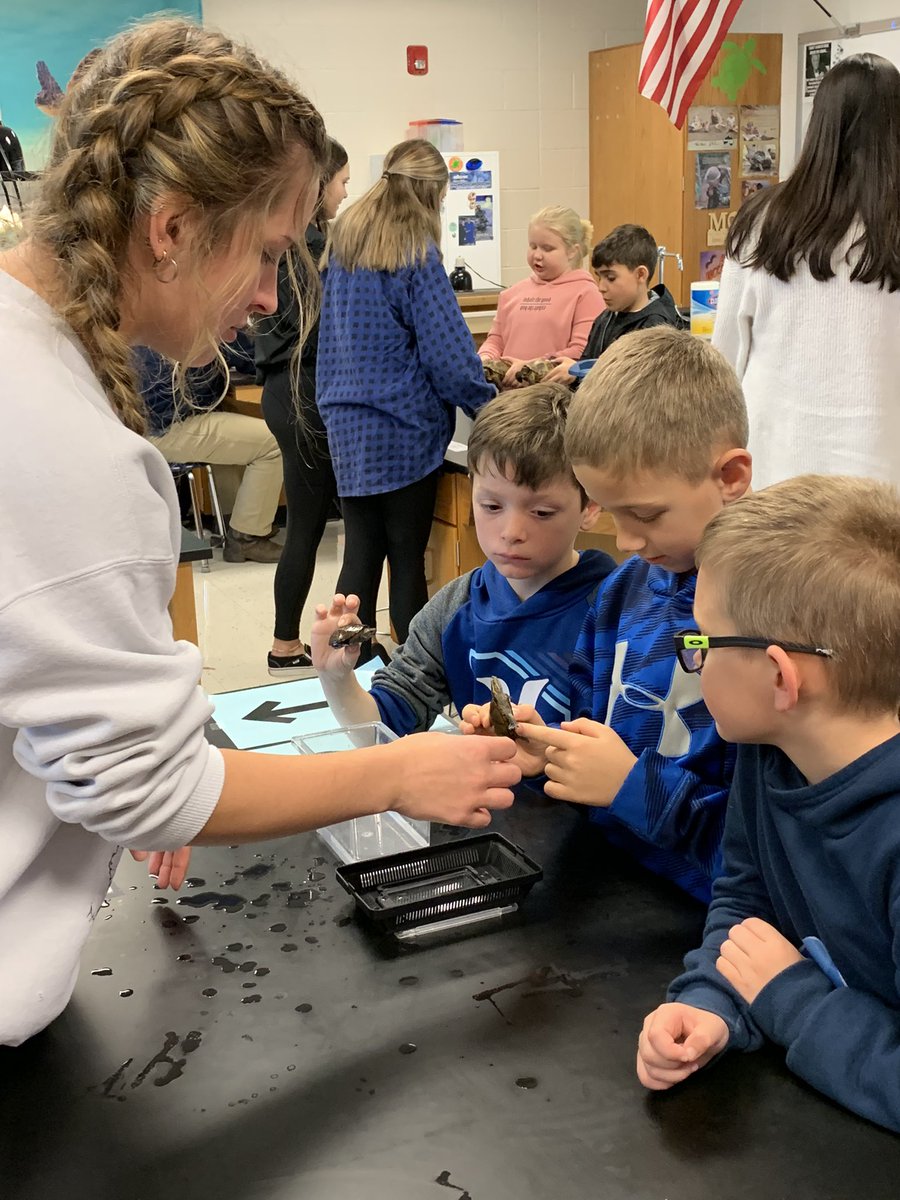 Mrs Geist tweet media