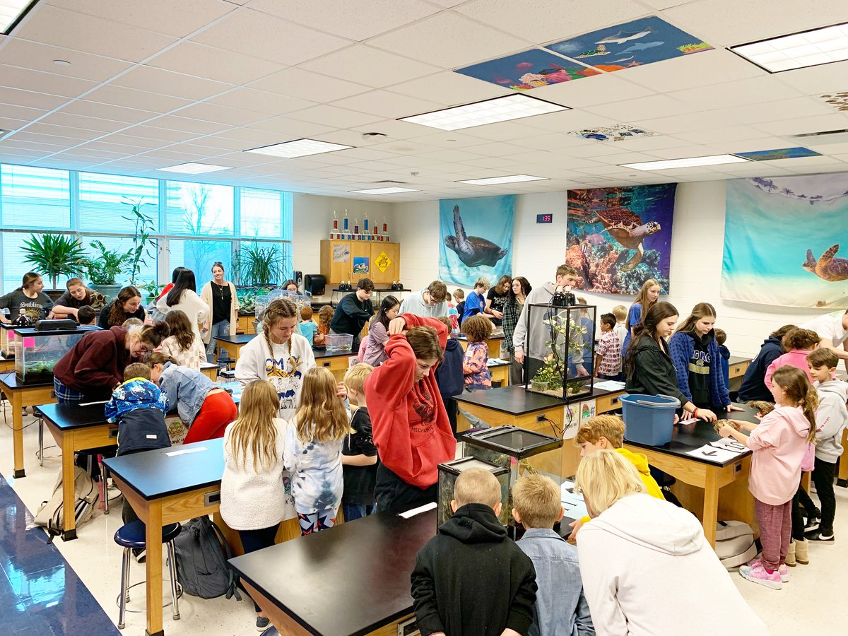 Mrs Geist tweet media