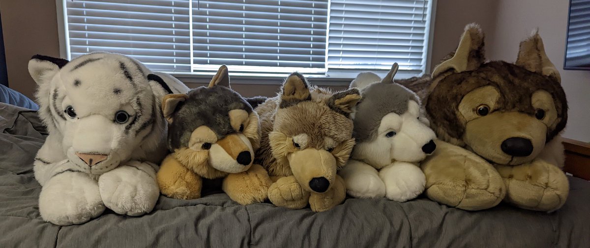 barbs r us tweet media