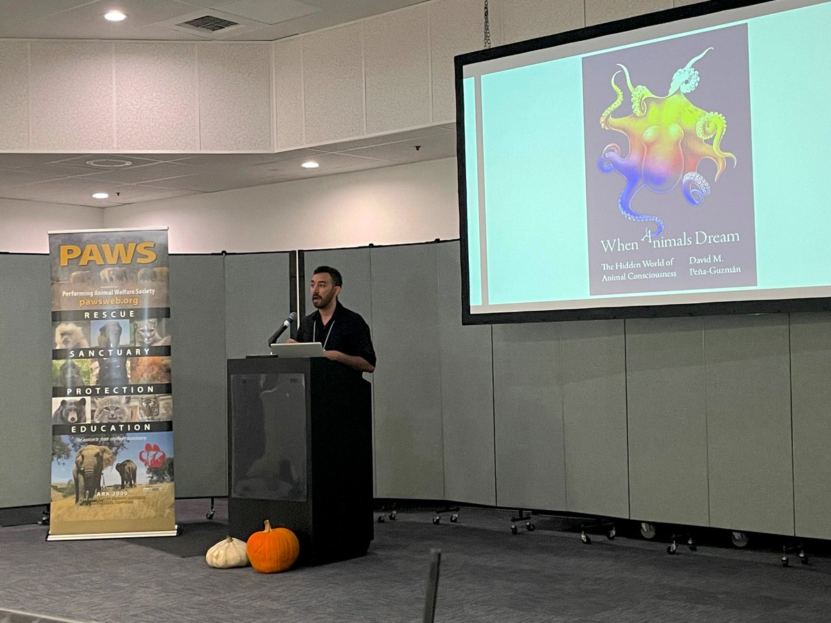 japanelephants's tweet photo. Fascinating and heartbreaking insight from @DrPenaGuzman1: For elephants, Post Traumatic Stress Disorder, or PTSD (such as seeing family members killed at a young age) manifests in chronic nightmares. - Live @PAWSARK2000
Int'l Captive Wildlife Conference #elephants https://t.co/pMDiOGgFsU