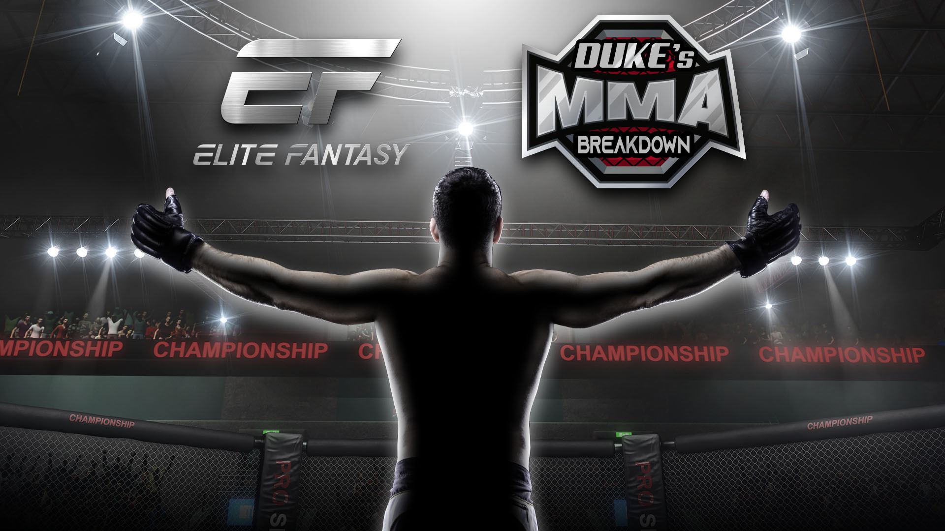 UFC логотип