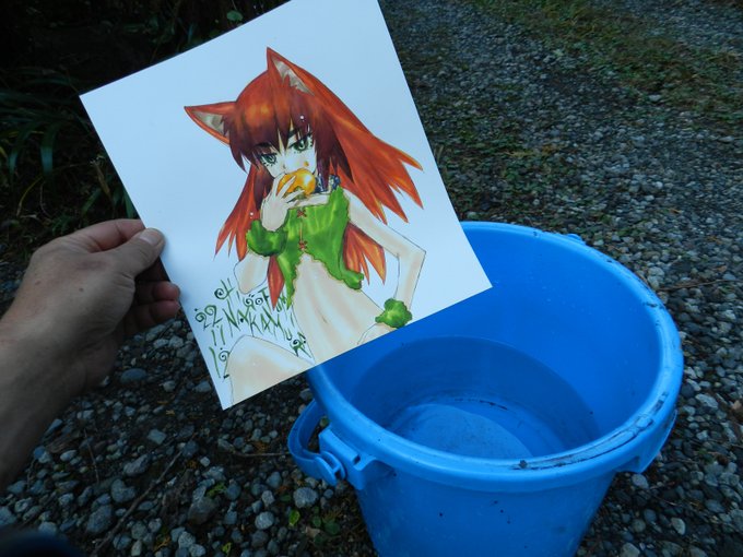 アナログえろ絵描きの僕の絵は、主線(キャラのりんかく線)は油性のホルベインインク、彩色はド水性のDr.マーチンインクです。ではここで、描き上げて15分後に水を張ったバケツに3分間投入した実験結果をご覧ください。 