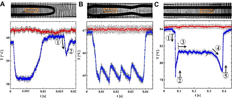 NESLabs's tweet photo. Check out our latest paper on characterization of annular flow in microchannel flow boiling! Through high-res temperature mapping on the order of 0.1 ms, we show that intermittent dryout occurs due to thin film evaporation https://t.co/j0hze6n54g https://t.co/kfRAwrMw0X