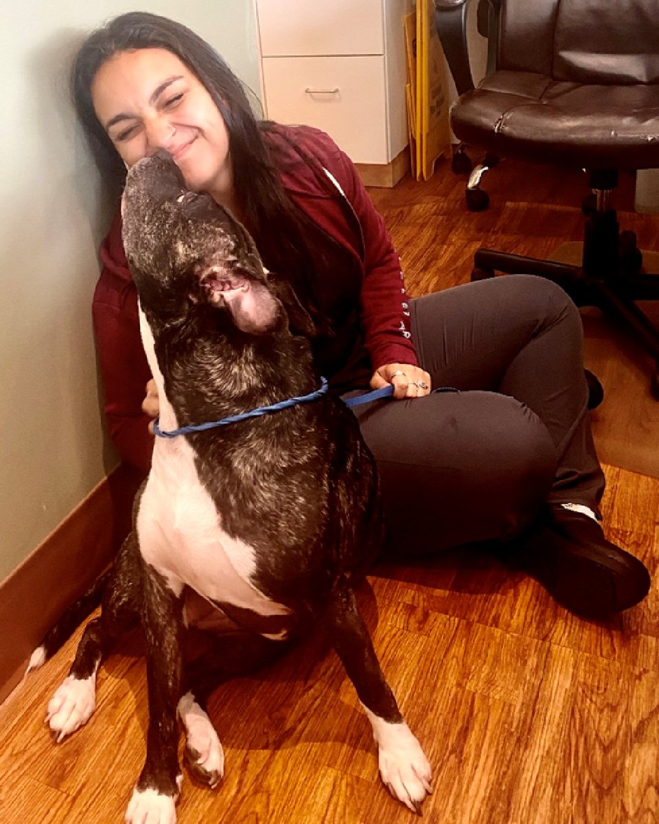 Tweet by Purdue Veterinary Medicine