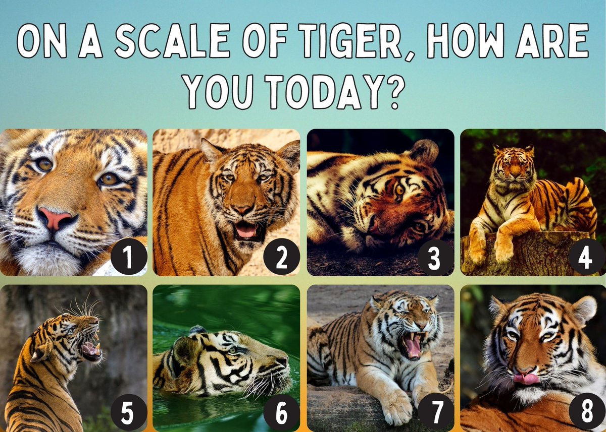 Allison Litten (she/her) Ⓥ tweet media