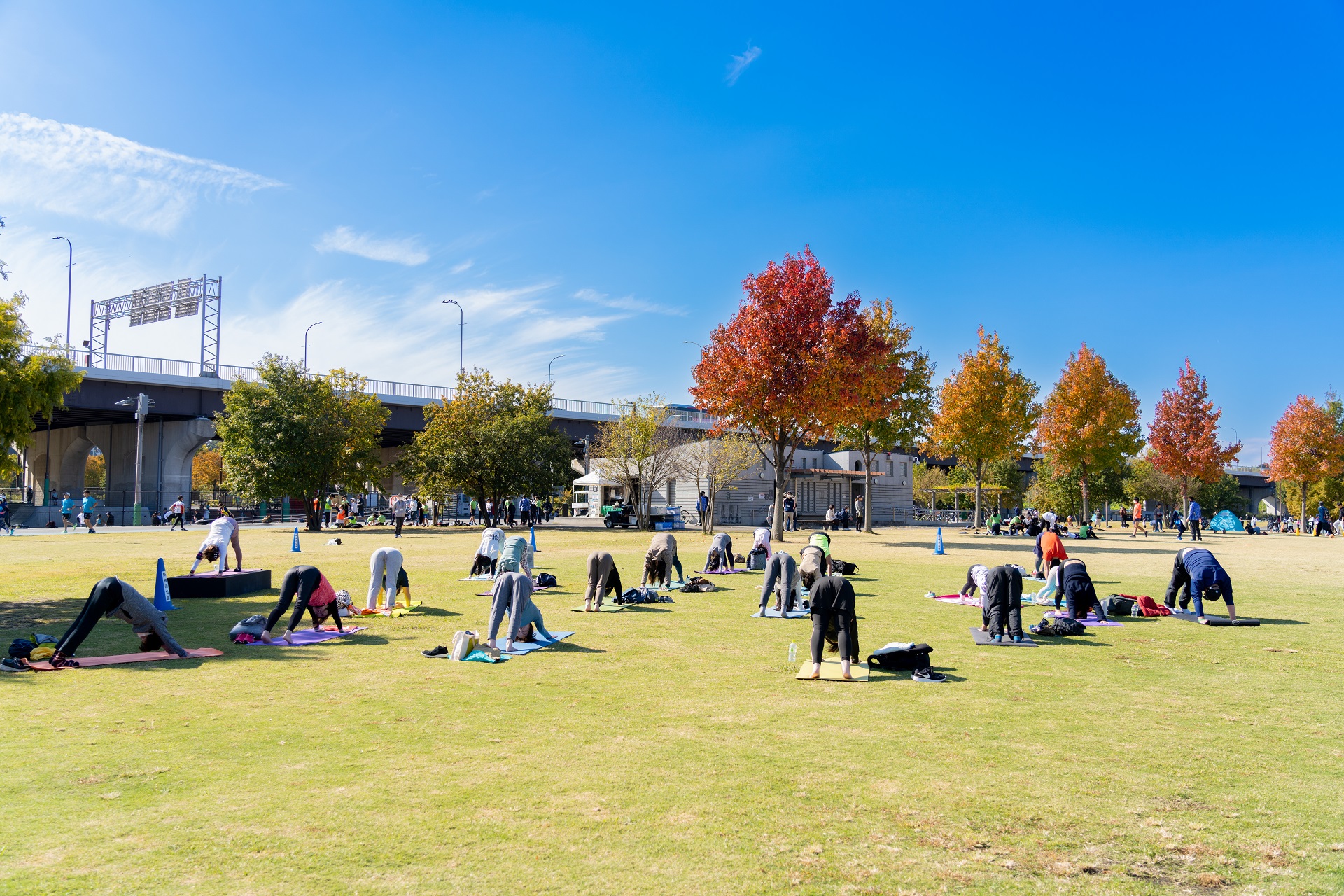 新横浜公園 Shinyoko Park Twitter