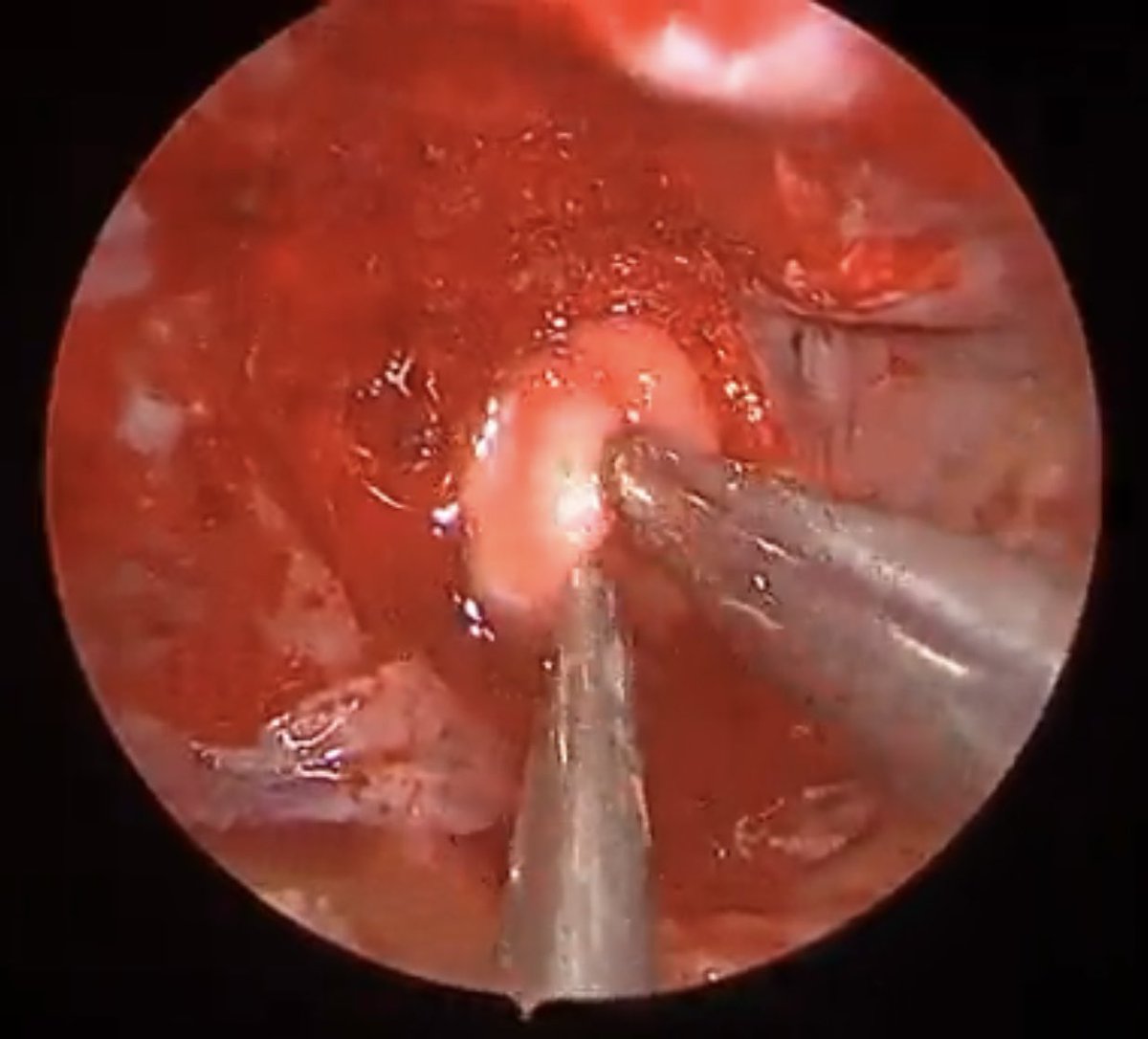 Danny Prevedello tweet media