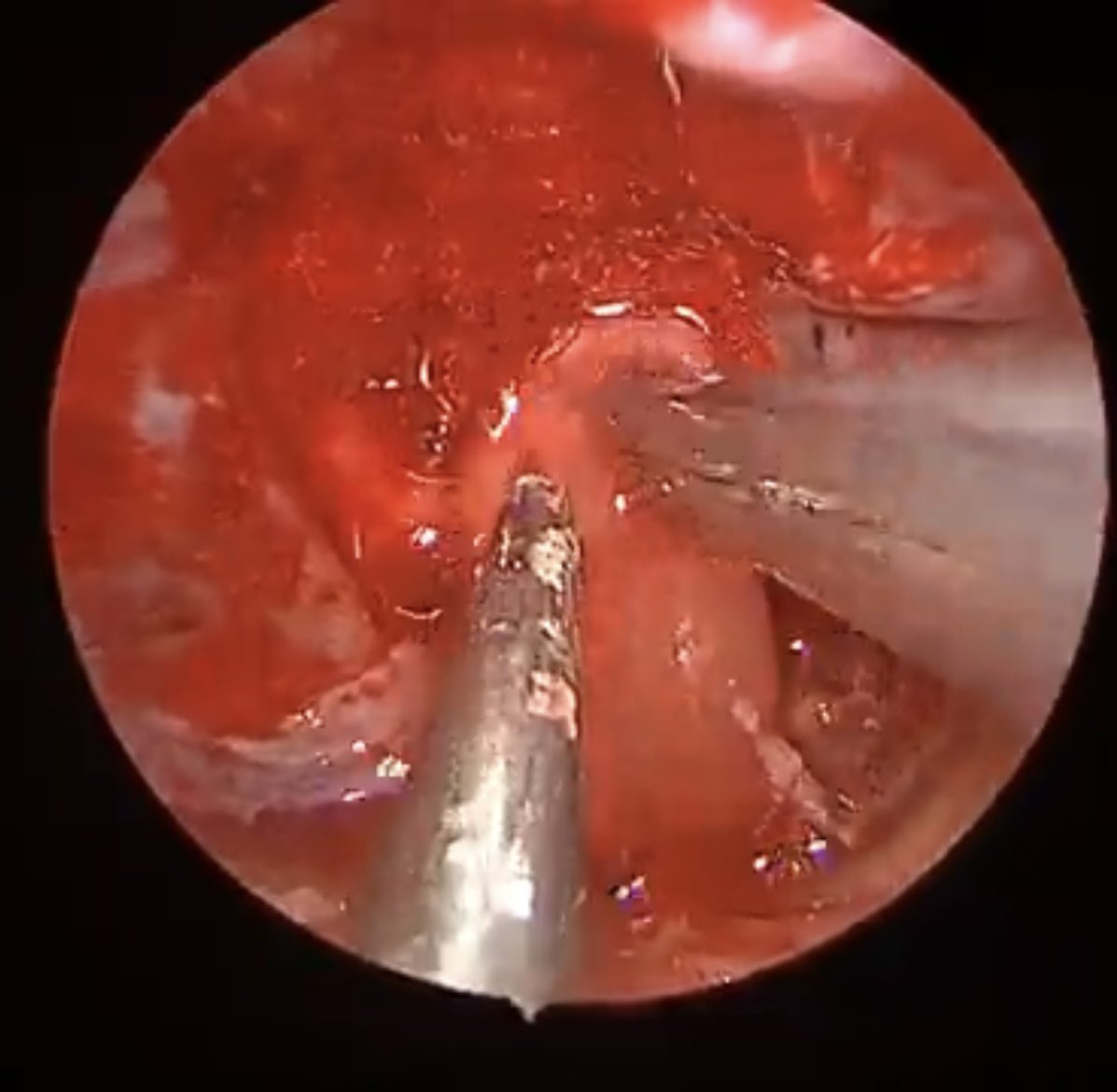 Danny Prevedello tweet media