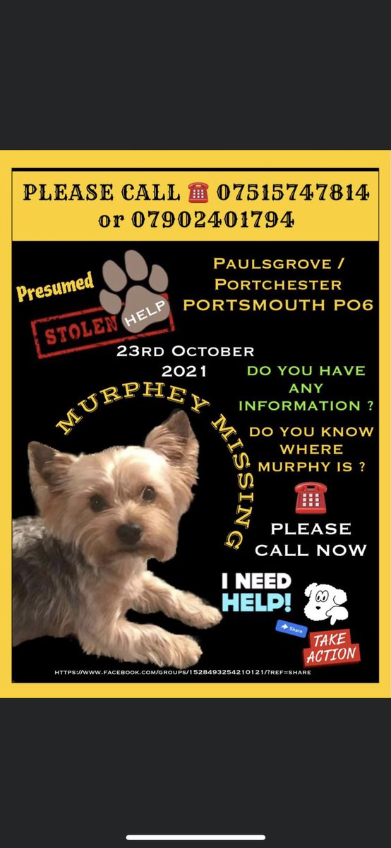 Murphy has been missing for 1 yr now 💔 I will never give up on you my baby💙 I need your help - please give us a RT to help us find answers - Murphy found & not handed in 📣 #findmurpy from portchester #porttchester @PatrolFool @RecoveryDog @MissingPetsGB