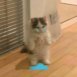 what’s the point of going to arby’s if they’re out of curly fries