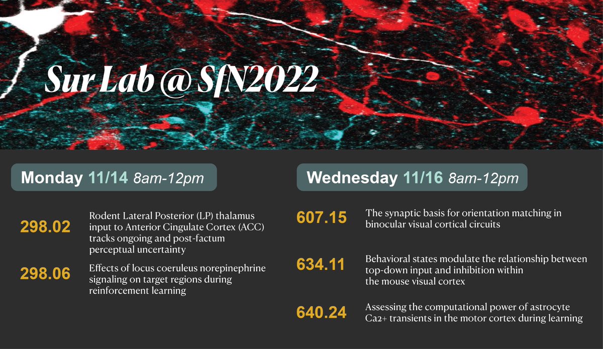 whatnowning's tweet photo. Catch the @SurLabMIT at #SfN2022! https://t.co/3xM8XkwvZM